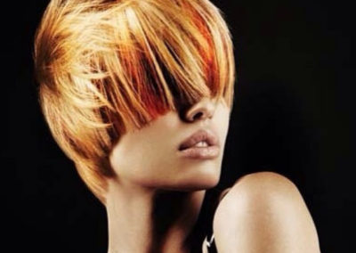 lady with short straight brown hair with orange highlights